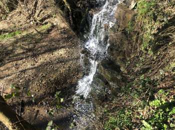 Trail Walking Sprimont - Cascade de CHANXHE 11Km - Photo