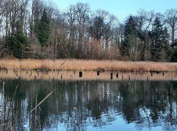 Trail Walking Morlanwelz - Bois de Mariemont - Photo