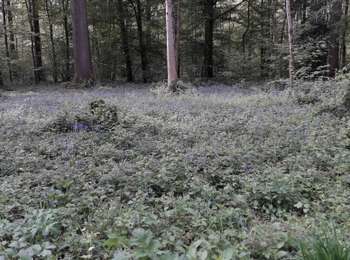 Trail Walking Thuin - Ragnies  - Photo