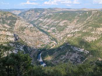 Tocht Stappen Massegros Causses Gorges - 2025-08-14 Marche Gorges du Tarn Les Vignes vers La Malène - Photo