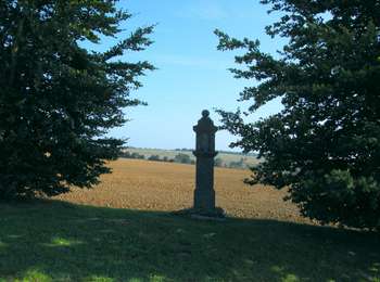 Tour Zu Fuß Fernelmont - Balade du Chant d'Oiseau - Photo