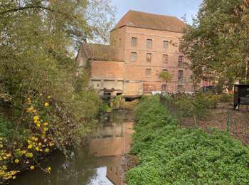 Trail Walking Brugelette - Brugelette Arbre Maffle - Photo