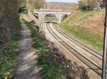 Trail Mountain bike Ham-sur-Heure-Nalinnes - Lobbes - Photo