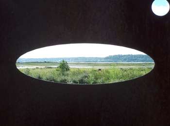 Percorso Mountainbike Oudalle - Le marais d'Amfard - Photo