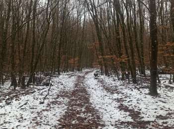 Tocht Noords wandelen Habscht - Grillplaz - Photo