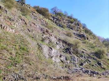 Trail Walking Flémalle - Promenade vers la réserve naturelle « Aux roches »  - Photo