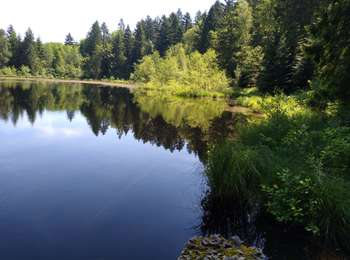 Trail Walking Sainte-Marie-en-Chanois - saint Colomban - Photo