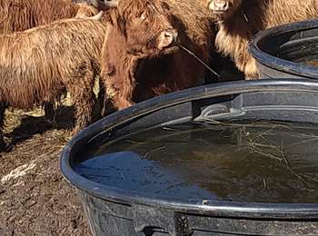 Trail Walking Crenans - Charchilla Meussia  - Photo