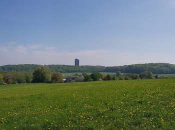 Randonnée A pied Heerlen - Imstenraderbos Yellow He3 - Photo