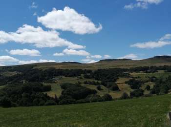Percorso Marcia Anzat-le-Luguet - Luguet Signal du Luguet Parrot Le Luguet - Photo