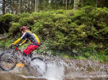 Percorso Mountainbike Jalhay - La grande descente  - Photo