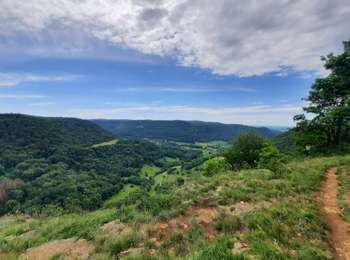 Trail Walking Mesnay - mesnay les planches - Photo