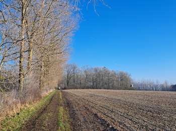 Trail Walking Tinlot - Marche ADEPS RAMELOT 15 Km - Photo
