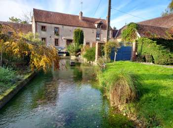 Trail Walking Les Vallées de la Vanne - Vareilles 251001 - Photo
