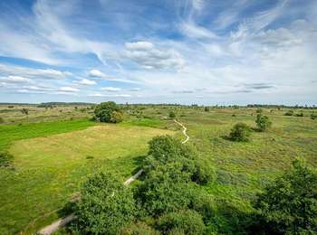 Trail On foot Spa - SPA 11 - Petite Boucle de Malchamps 🟨 - Photo