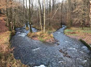 Trail Walking Herbeumont - RSIH - Herbeumont - L'Antrogne - Photo