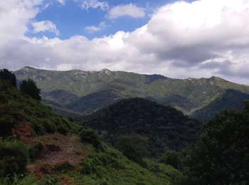 Trail Walking Perelli - teraccia - Photo