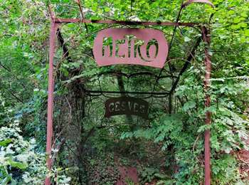 Excursión Senderismo Gesves - Sentier d’art à Gesves - Photo