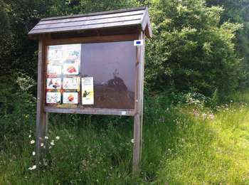 Excursión A pie Welkenraedt - Promenade de Grunhaut - Photo