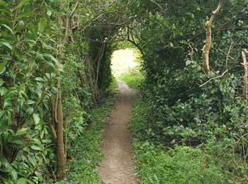 Tour Zu Fuß Les Cammazes - 2021-04-25_15h18m40_randonnee-pedestre-aux-cammazes-dans-le-tarn - Photo