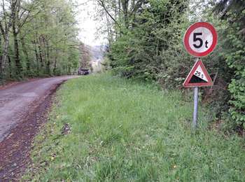Excursión Bici de carretera Stavelot - Stavelot 2 - Photo