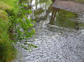 Tocht Stappen Val d'Arry - le locheur-01 - Photo
