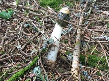 Percorso Marcia Saint-Romain - Chaulmes  - Photo