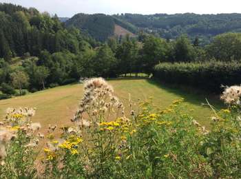 Percorso Mountainbike Malmedy - Malmedy - Carrières de la Warche - Photo