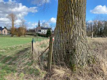 Tocht Stappen Orp-Jauche - Folx les Caves 19 km - Photo
