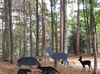 Trail Walking Eupen - Barrage d'Eupen  - Photo