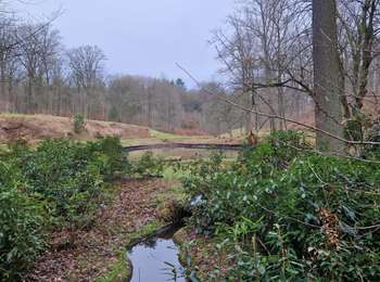 Tocht Stappen Genepiën - #211004 - Sauvagemont, Bois de Thy et Ferme d'Agnissart**** - Photo
