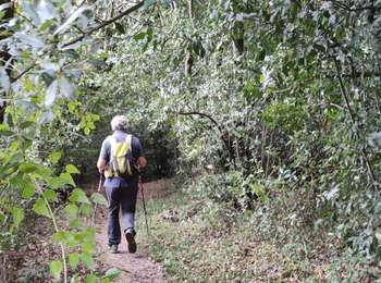 Trail Walking Halsou - HALSOU fontaine d'arraia Bizkar Handi 