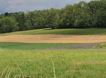 Trail Walking Tinlot - boucle dans les campagnes et bois de Ramelot - Photo