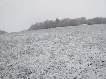 Trail Walking Lavans-Vuillafans - lavans vuillafans - Photo