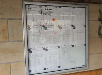 Trail Walking Vallée de l'Ernz - 2025-06-10 Medernach Larochette  - Photo