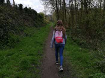 Trail Walking Morlanwelz - promenade bois et parc de mariemont - Photo