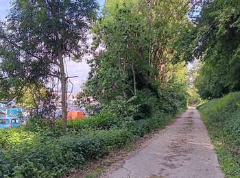 Trail Walking Ans - derrière carrefour ans ... - Photo