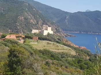 Trail Walking Galéria - Galeria Girolata - Photo