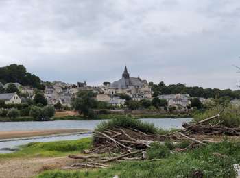 Randonnée Marche Savigny-en-Véron - Savigny-en-Véron - la Vienne la Loire - 20.8km 135m 5h45 (50mn) - 2025 07 02 - Photo