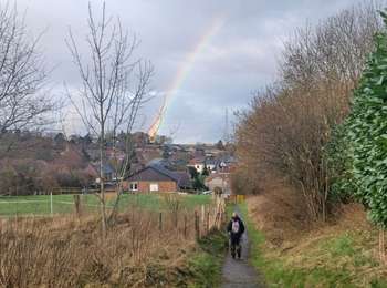 Trail Walking Pont-à-Celles - Viesville Saint Georges  - Photo