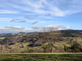 Percorso Marcia Sauvain - Cascade de Chorsin/jasserie Garnier  - Photo