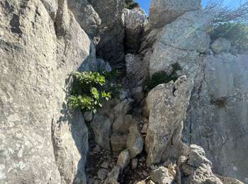 Tocht Stappen Fillière - GLIERES: NOTRE DAME DES NEIGES - TETES NOIRE, RONDE et ARPETTAZ - RETOUR PAR ABLON - Photo