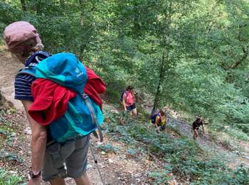 Trail Walking Profondeville - Sept Meuse Profondeville  21,4 km - Photo