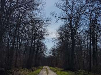 Excursión Bici de montaña Saint-Clément - sortie vtt du 15032020  - Photo