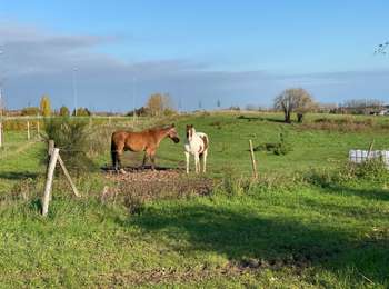 Randonnée Marche Asse - Asse 25 km - Photo