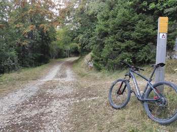 Percorso Mountainbike Villard-de-Lans - Villard-de-Lans Cyclisme sur route - Photo
