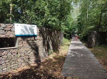 Tour Wandern Lanaken - Lanaken - Pietersheimbos - Photo