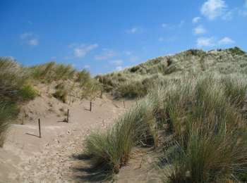 Trail On foot Koksijde - Kruwers wandelroute - Photo
