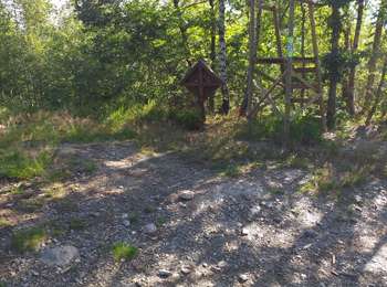 Trail Walking Trois-Ponts - Balade 3- Ponts via Rochlinval, Quartier, Dairomont et retour - Photo