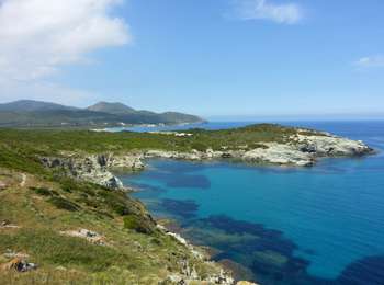 Trail Walking Ersa - 05/06/2013 10:16 Barcaggio Tour D Agnello - Photo